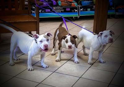 Jennings Animal Hospital